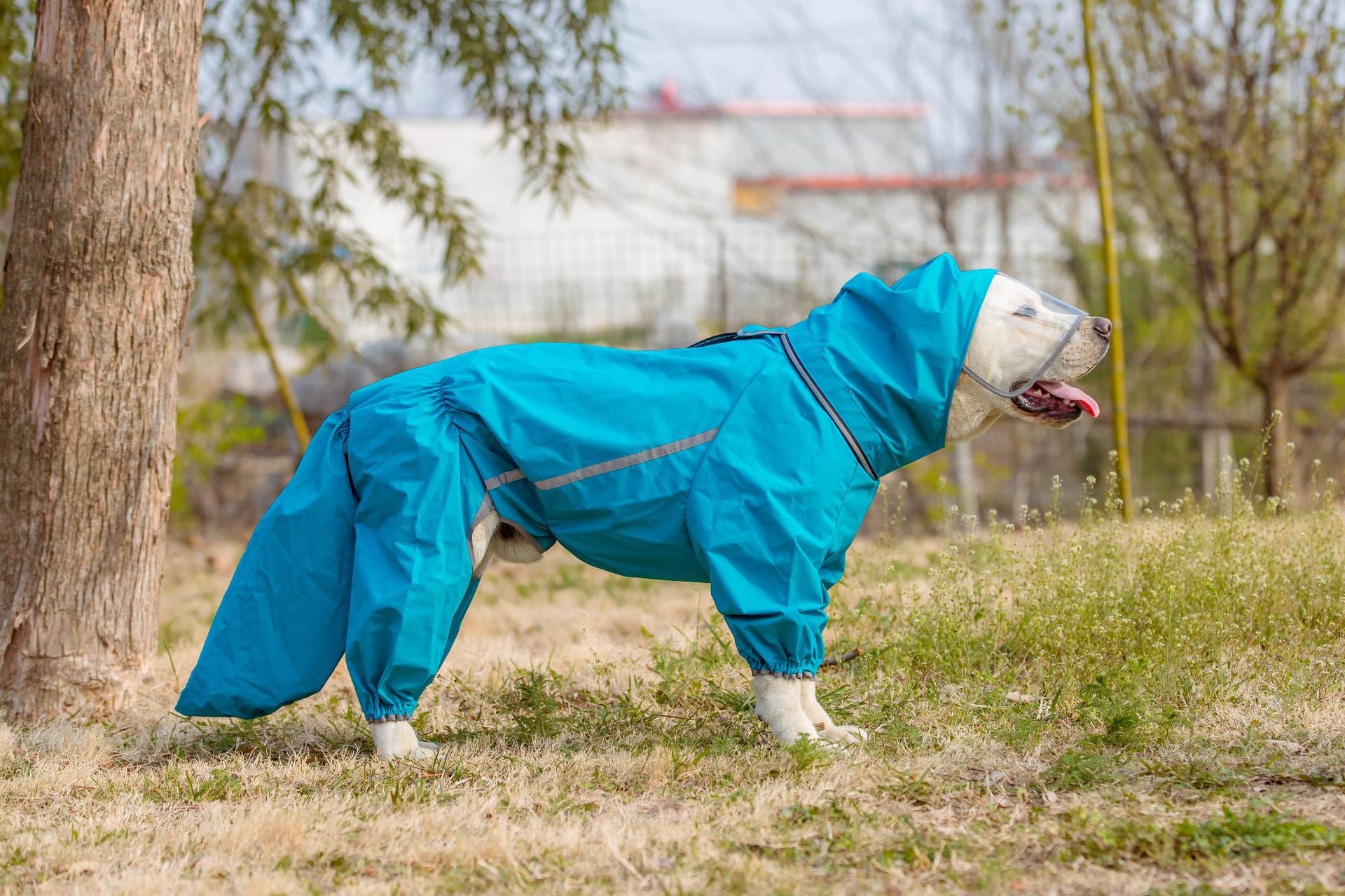 Waterproof Dog Raincoat with Tail Cover