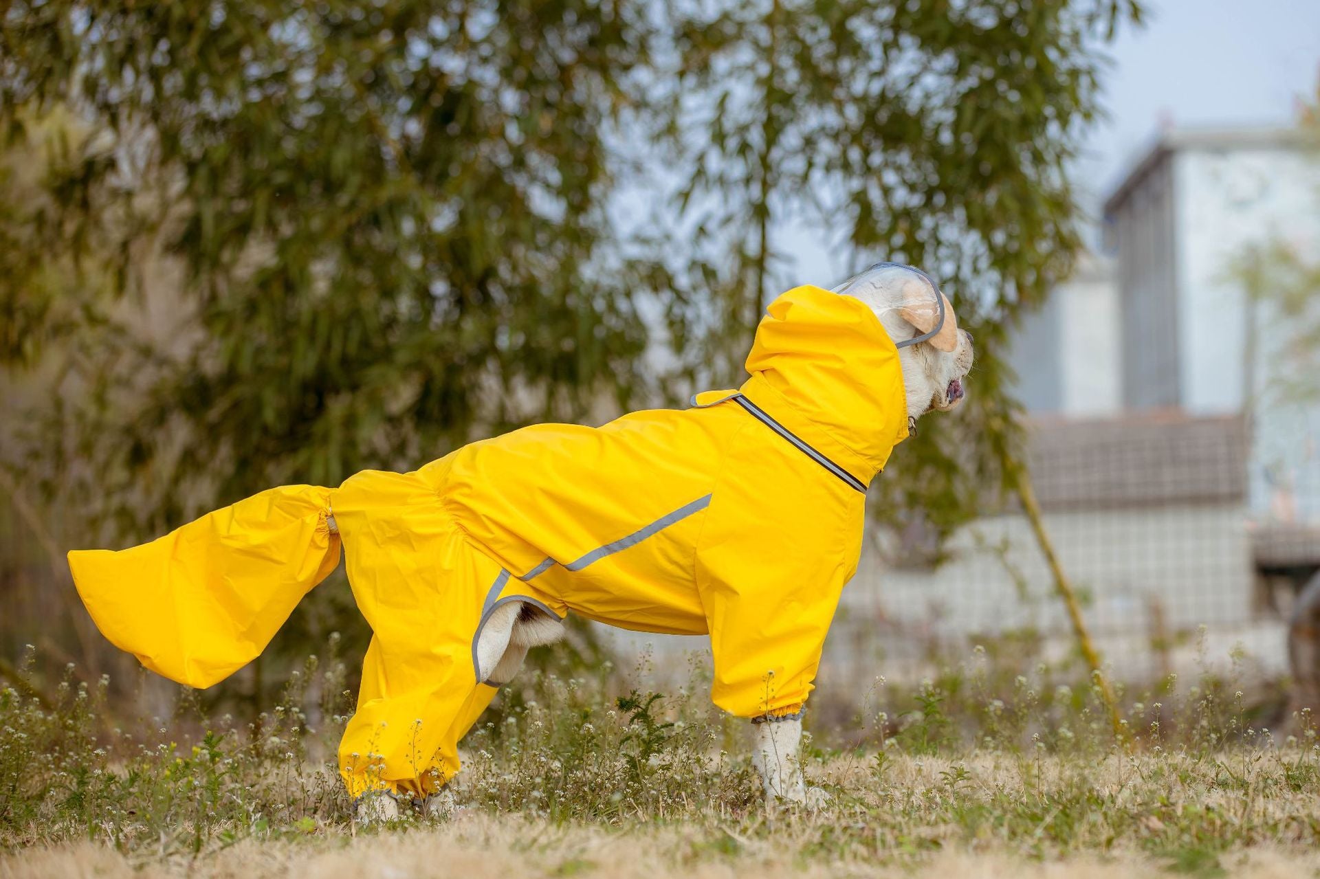 Waterproof Dog Raincoat with Tail Cover