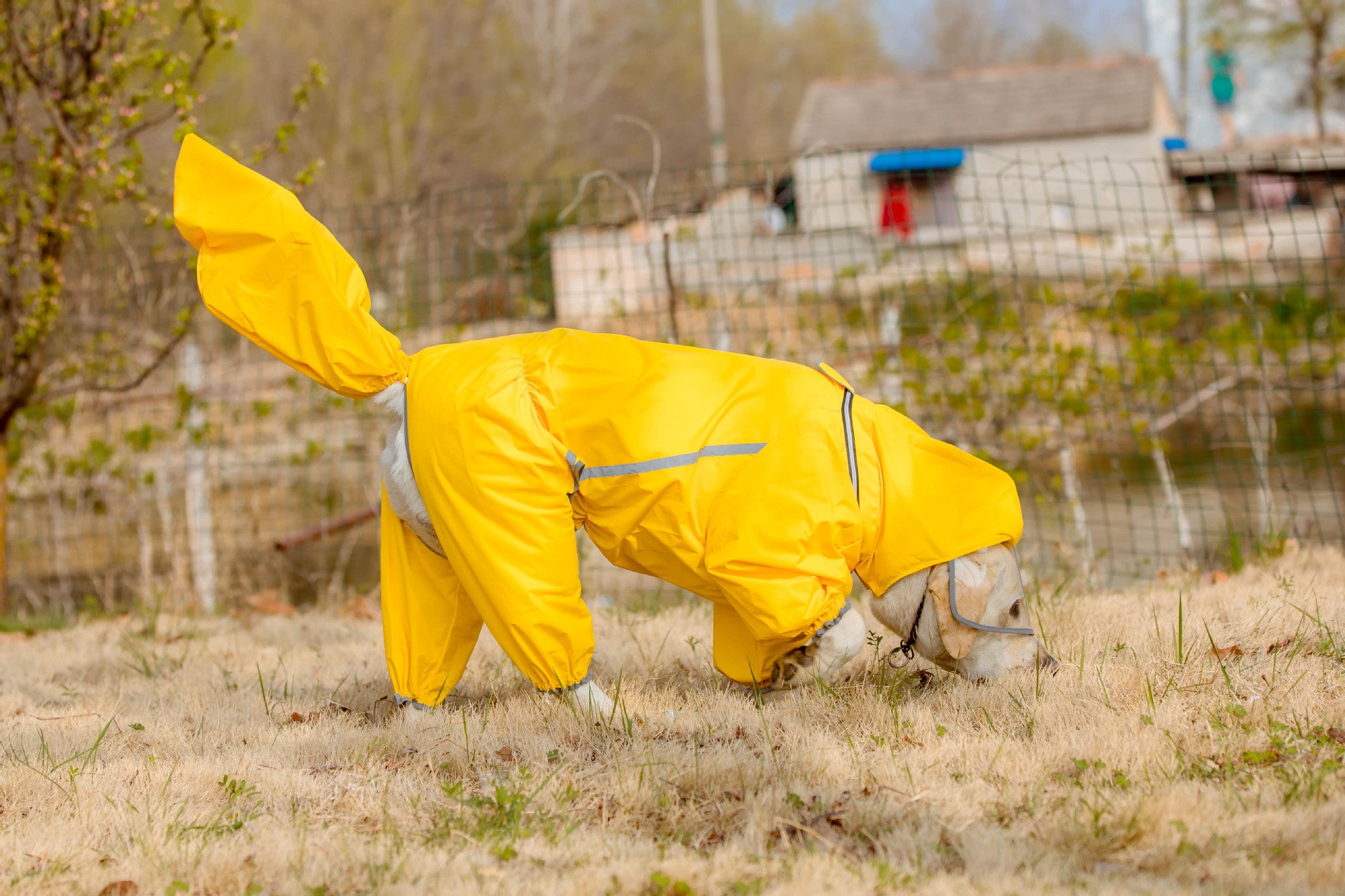 Waterproof Dog Raincoat with Tail Cover