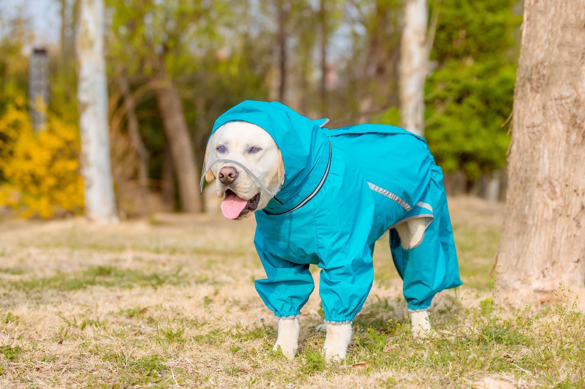 Waterproof Dog Raincoat with Tail Cover